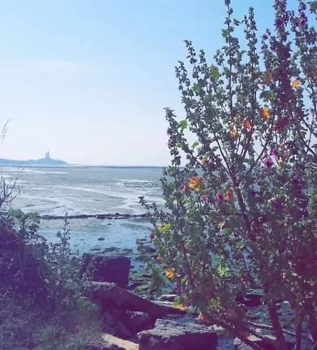 Le Rivage Kemping Quettehou